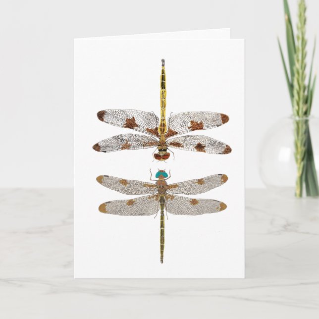 Par av prins Baskettail Dragonflies Kort (Framsida)