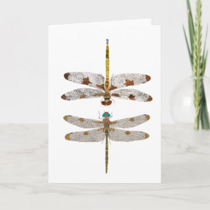Par av prins Baskettail Dragonflies Kort