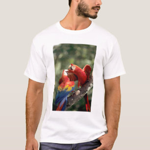 Par av scharlakansara papegojor t-shirt