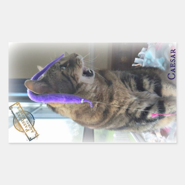 PAR Caesar Sticker Rektangulärt Klistermärke (Framsida)