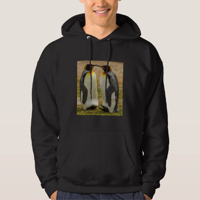 Par kungspingviner, Falklands Munkjacka (Framsida)