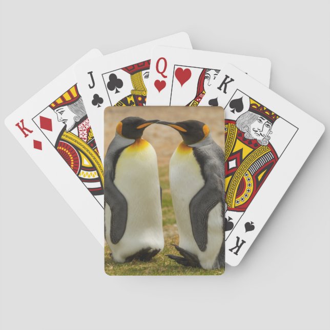 Par kungspingviner, Falklandsöarna Casinokort (Baksidan)