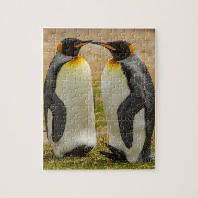 Par kungspingviner, Falklandsöarna Pussel (Vertikal)