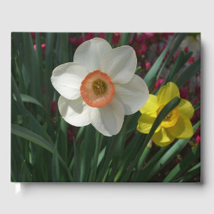 Par Narcisser Rosa och Gula Vårblommor Gästböcker
