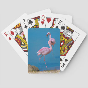 Par på Rosa Flamingos-uppspelningskort Kortlek