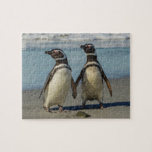 Par pingviner på stranden pussel