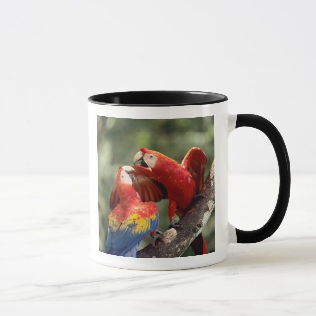 Par Scarlet Araporor Mugg (Höger)