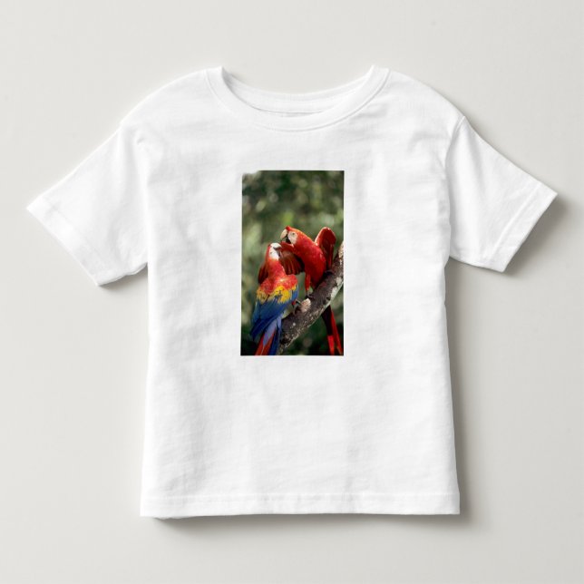 Par Scarlet Araporor Tee (Framsida)