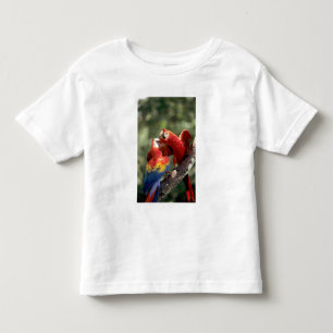 Par Scarlet Araporor Tee Shirt
