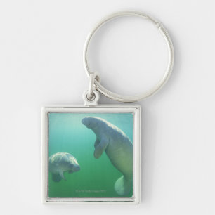 Para av att simma för florida manatees fyrkantig silverfärgad nyckelring
