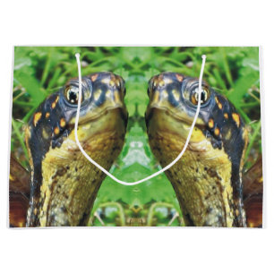 Para av boxas sköldpaddavänner som gåvan hänger