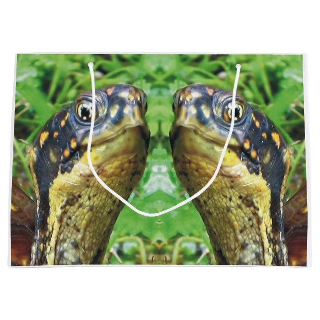 Para av boxas sköldpaddavänner som gåvan hänger (Framsidan)