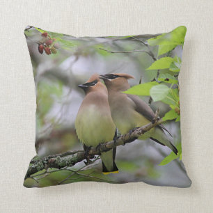 Para av cederträWaxwings Kudde