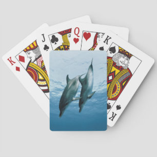 Para av delfiner spel kort