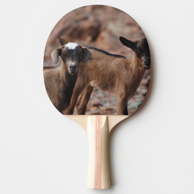 Para av getter pingisracket (Framsidan)