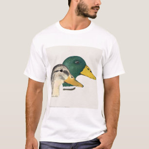 Para av gräsand duckar (draken och hönan) tee