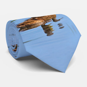 Para av gräsandankor slips