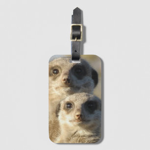 Para av Meerkats Bagagebricka