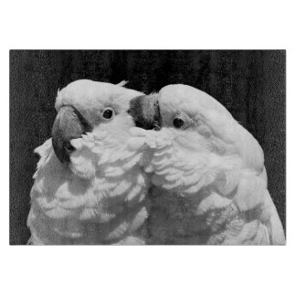 Para av paraplykakaduor