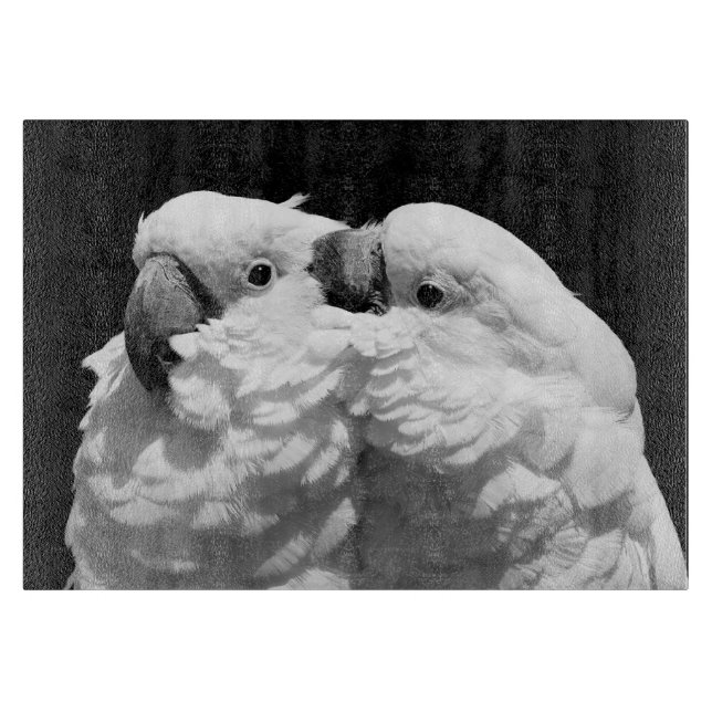 Para av paraplykakaduor (Framsidan)