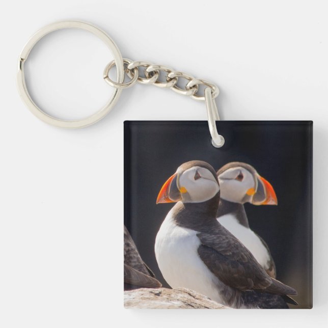 Para av Puffins (Framsidan)