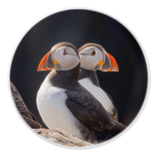 Para av Puffins Knopp