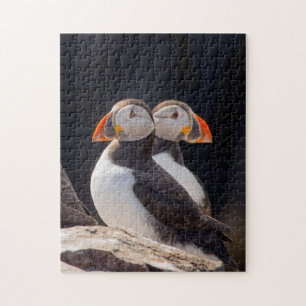 Para av Puffins Pussel