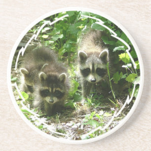 Para av Raccoonsunderlägg Underlägg