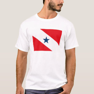 Para flaggaT-tröja T-shirt