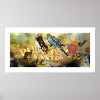 Para Vestir Santos Poster