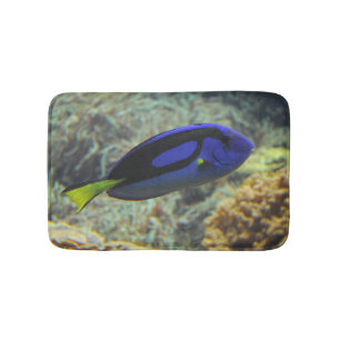 Paracanthurus hepatus badrumsmatta