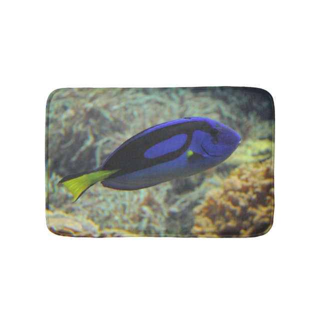 Paracanthurus hepatus badrumsmatta (Framsidan)