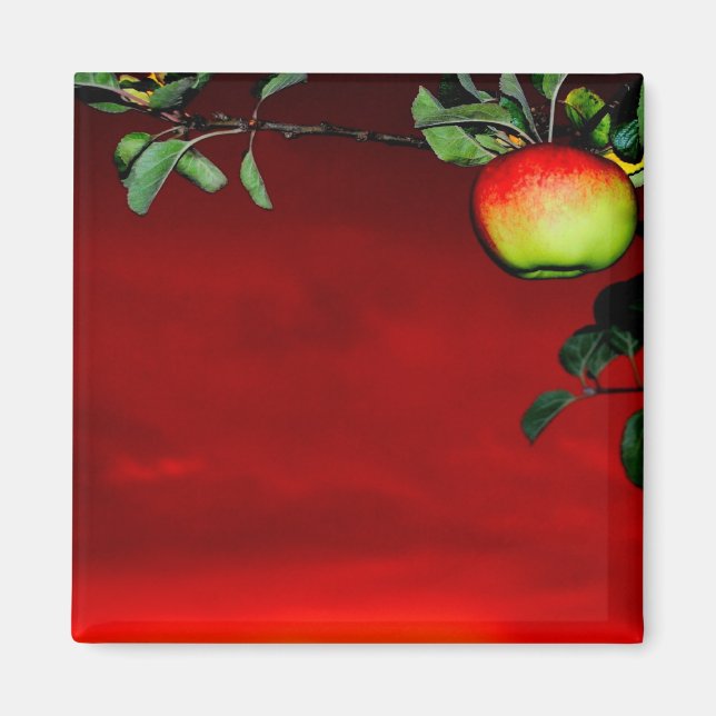 Paradiesapfel Magnet (Framsidan)