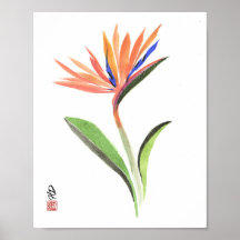 Paradis i blomning