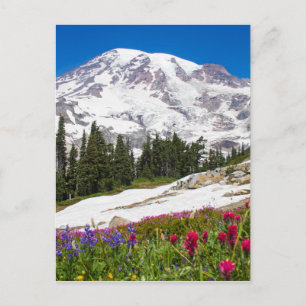 Paradis Mt. Rainer Vykort