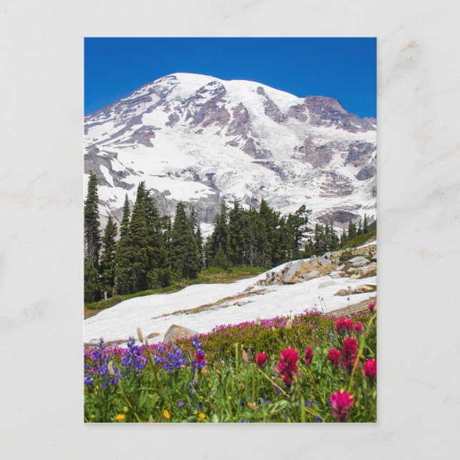 Paradis Mt. Rainer Vykort (Framsida)