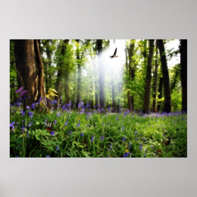 paradis som hittats poster (Framsidan)