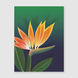 Paradisblommans fågel