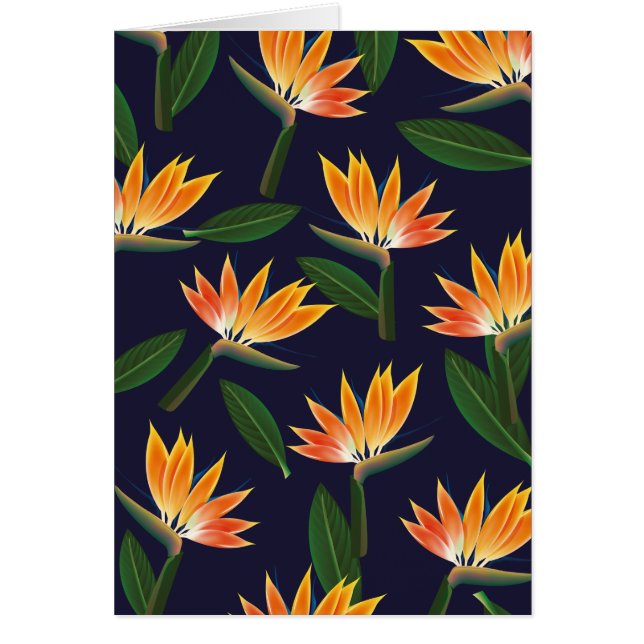 Paradisblommans fågel hälsningskort (Framsidan)