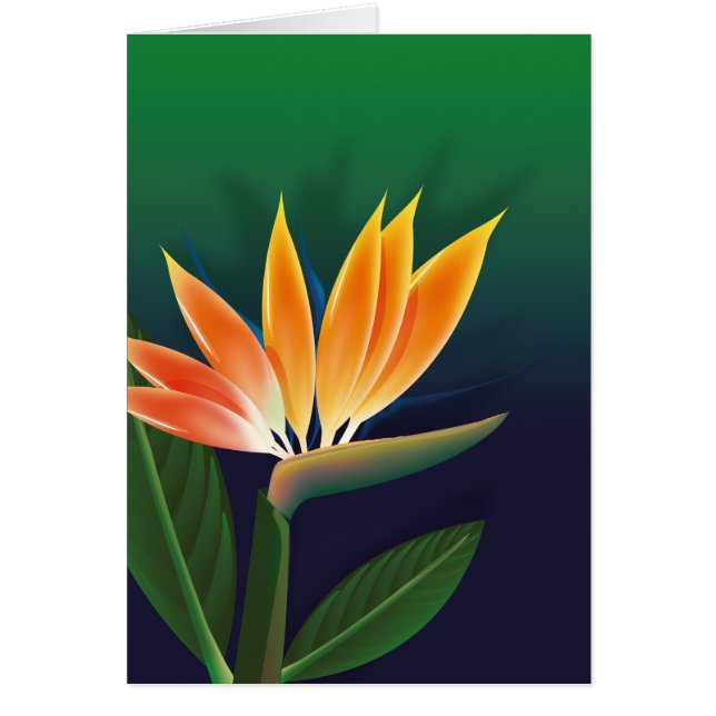 Paradisblommans fågel hälsningskort (Framsidan)