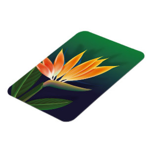 Paradisblommans fågel magnet