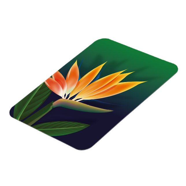 Paradisblommans fågel magnet (Vänstra Sidan)