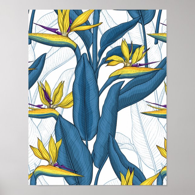 Paradisblommornas fågel på vitt poster (Framsidan)