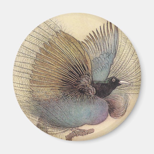 Paradise Art Magnet (Framsidan)