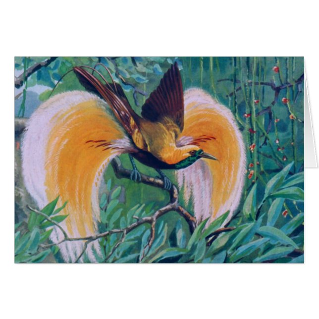 Paradise Bird Card Hälsningskort (Framsidan Horizontal)