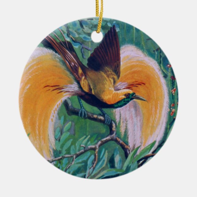 Paradise Bird Ornament (Framsidan)