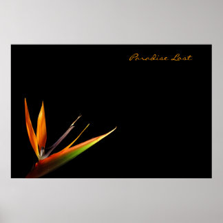 Paradise Borttappad Poster