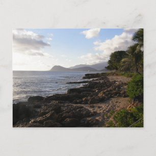 Paradise Cove-vykort Vykort