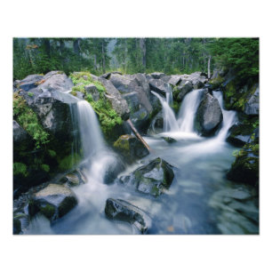 Paradise Creek rinner nerför sluttningar av Mount Fototryck