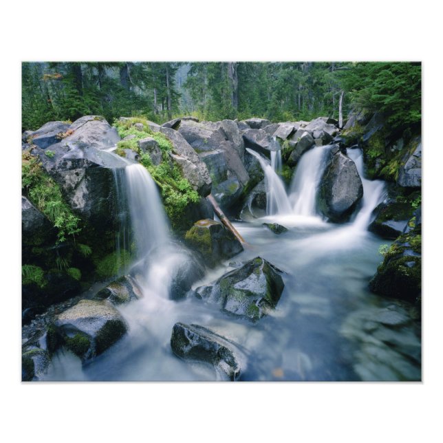 Paradise Creek rinner nerför sluttningar av Mount Fototryck (Framsidan)